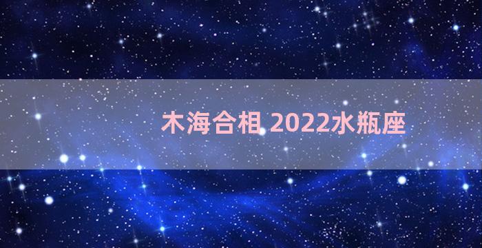 木海合相 2022水瓶座